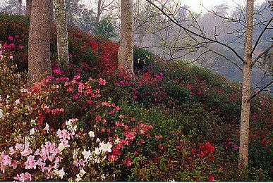 阔别五年之后《南茜·朱尔》即将推出第34款游戏
